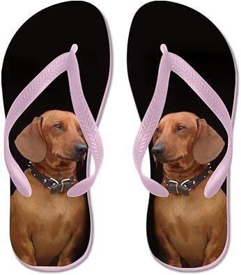 dog flip flops