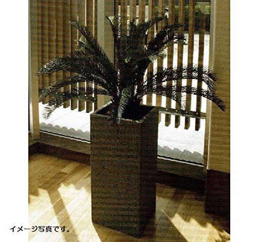 全商品オープニング価格特別価格 人工観葉植物 アーティフィシャルグリーンアレンジソテツ 鉢付き 幅80cm Rg 007 B074fsnb5n Www Rocketfarmstudios Com