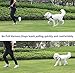 Medium Dog Harness (2nd GEN ),Black Front and Back Lead dog Harness Durable with Handle and 2 D Ring for Puppy ,Small Medium Dog Pet Supplies by Bondpaw