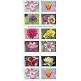 Garden Beauty (Book of 20) First-Class Mail Forever Postage Stamps