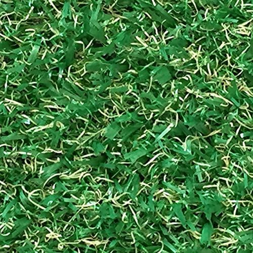 2m x 4m Dundee 10mm Pile Height Artificial Grass | Natural & Realistic Looking Astro Garden Lawn | 13 ft 1 Inch x 6 ft 5 Inch | 400cm x 200cm | 157 x 79 Inches | High Density Fake Turf