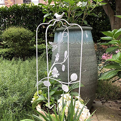 CJSWT Rankhilfe Rankgerüst Kletterpflanzen,Obelisken, Pflanzendesign Garten Gitter, Für Im Freien Kletterer Blumen und… – Bild 5