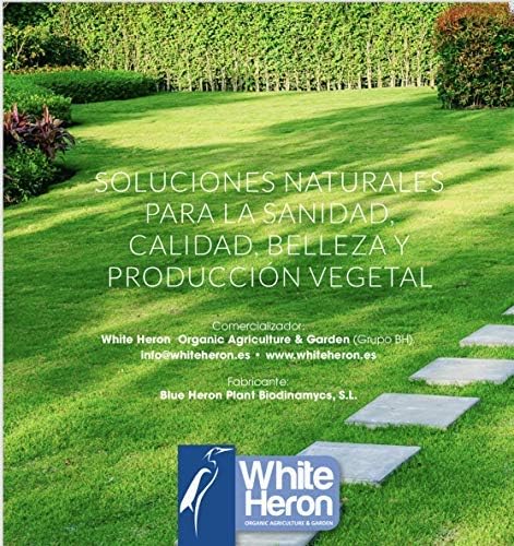 BIGROOT 2 Enraizante/Vitaminas/Algas/Aminoácidos; Potente ...