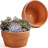 8 Inch Shallow Terracotta Pot for Succulent - 2 Pcs Large Clay Planter Pots with Drainage Hole, Shallow Plant Pottery Pots for Cactus Succulent and Other Indoor Outdoor Plants