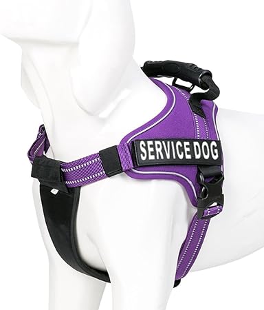 service dog harness purple