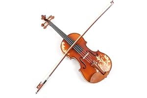 YDuupxe Flower Carved Wood Violin Set Kit AV608 4/4, Maple Headstock Flower Carved Wood Violin Set /, Handcrafted Jujube Body