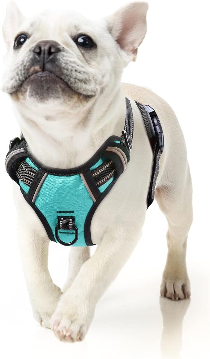 HEELE Dog Harness Small No Pull Reflective Turquoise adjustable S