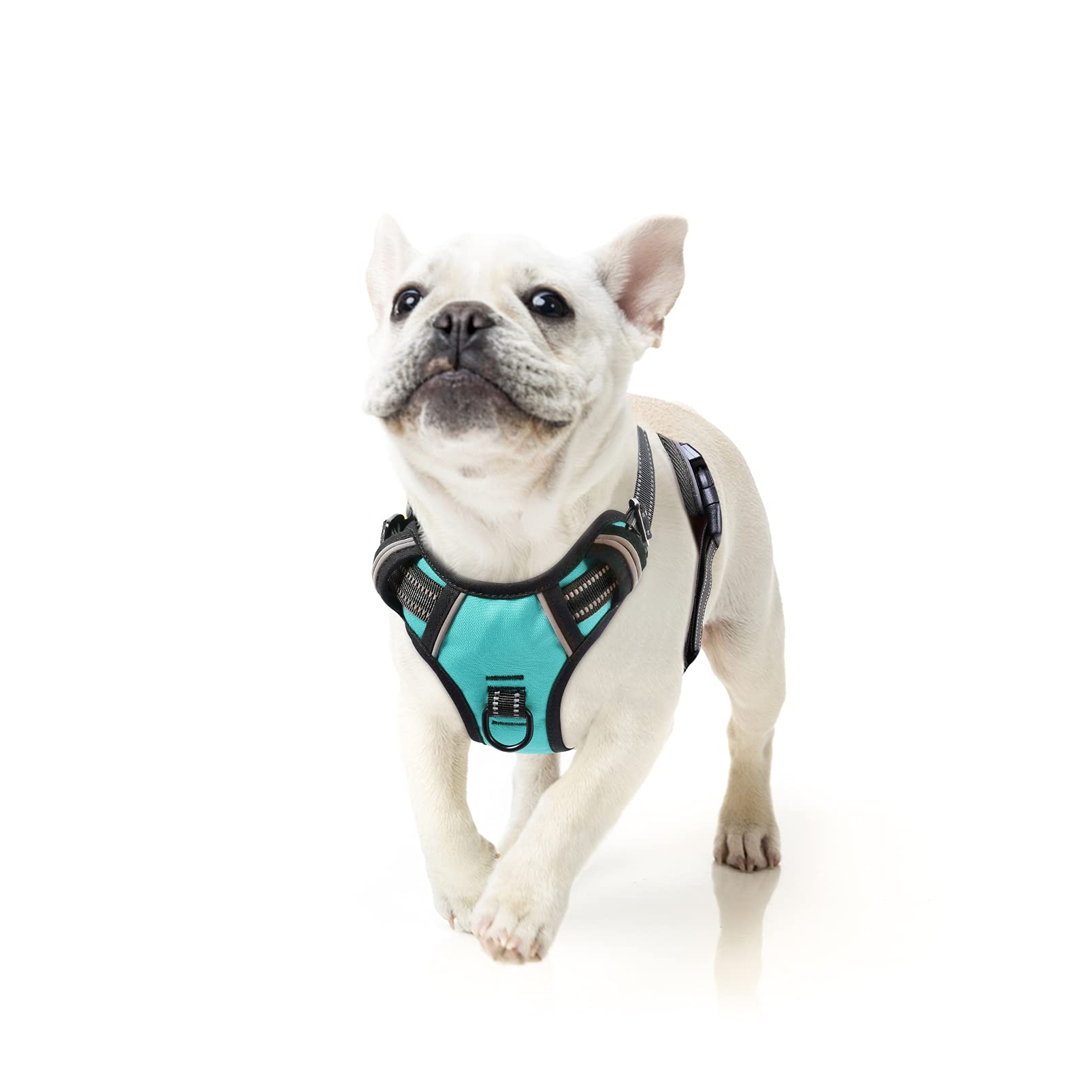 HEELE Dog Harness Dog Harness Small Dog No Pull Harness wiht Soft Handle Reflective Puppy Harness Adjustable, Turquoise, S — image 1