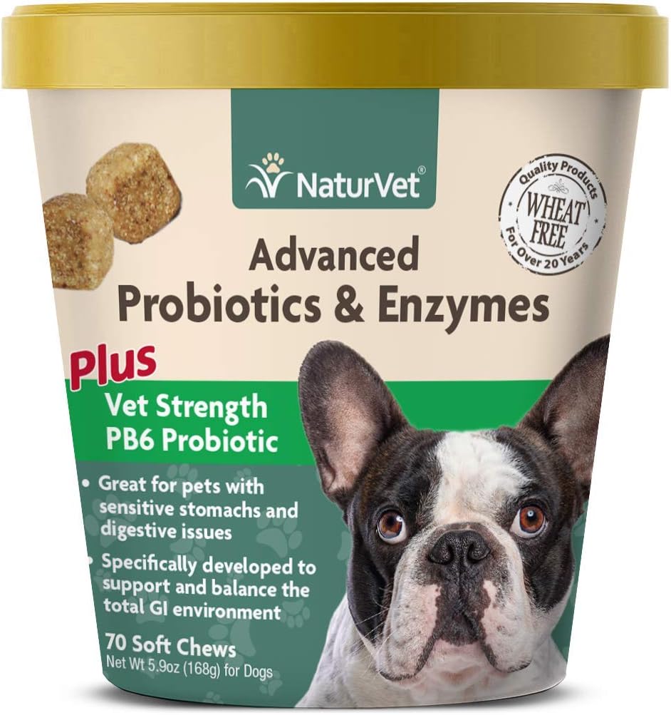 advanced probiotic plus for dogs