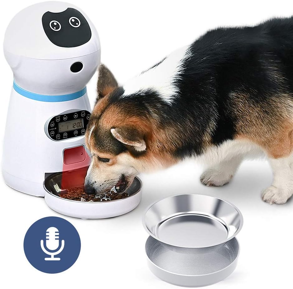time feeders for dogs