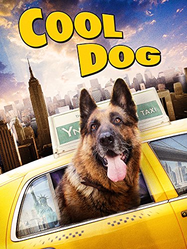 Cool Dog