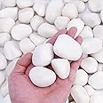 Pulovin 15 lbs White Rocks for Plants Indoor, 1-3 inch Decorative Garden Stone Outdoor Landscaping, Walkways, Yard, Large Polished River Rocks for Plants Pots, Vases, Crafts
