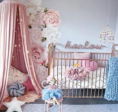 Peony Wall Decals, Flower Wall Stickers, Nursery Wall Decals, Kids Wall Decals, Peel and Stick Decals, Flower Decals, Floral Wall Decor, Nursery Decor