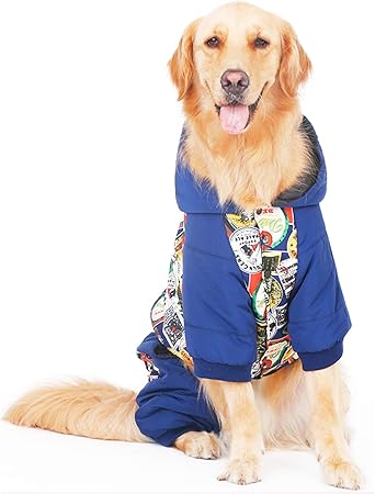 labrador retriever clothing and accessories