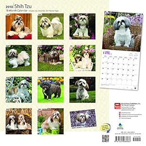 Shih Tzu 2018 12 x 12 Inch Monthly Square Wall Calendar with Foil Stamped Cover, Animals Small Dog Breeds (Multilingual Edition)