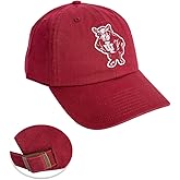Desert Cactus Indiana University Baseball Hat Hoosiers Bloomington Brimmed Embroidered Hats Cap Adjustable Cloth Strap Adult (Style R1 Vintage) Red