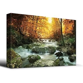 Wooded Stream in Autumn