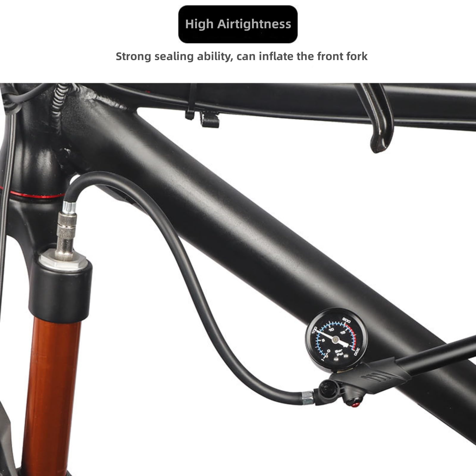 View 4
