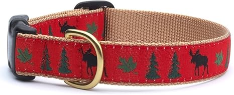 Up country dog collars amazon Clearance