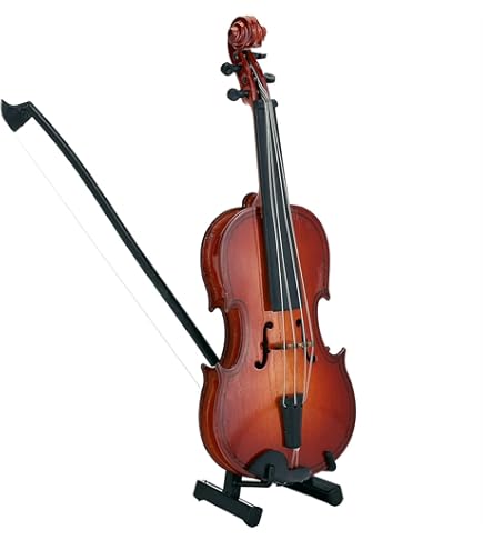 Amazon.com: D'Luca Meister Student Violin School Package 4/4 DL