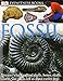 DK Eyewitness Books: Fossil