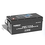 Renogy 12V 200Ah Lithium LiFePO4 Deep Cycle