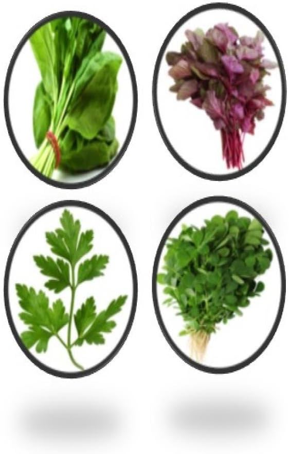 Tradico Leaf Green Veg Seeds - palak, dhaniya, Methi, lal choualai saag- 4 pkts by Super Agri Green (1000+ Seeds)