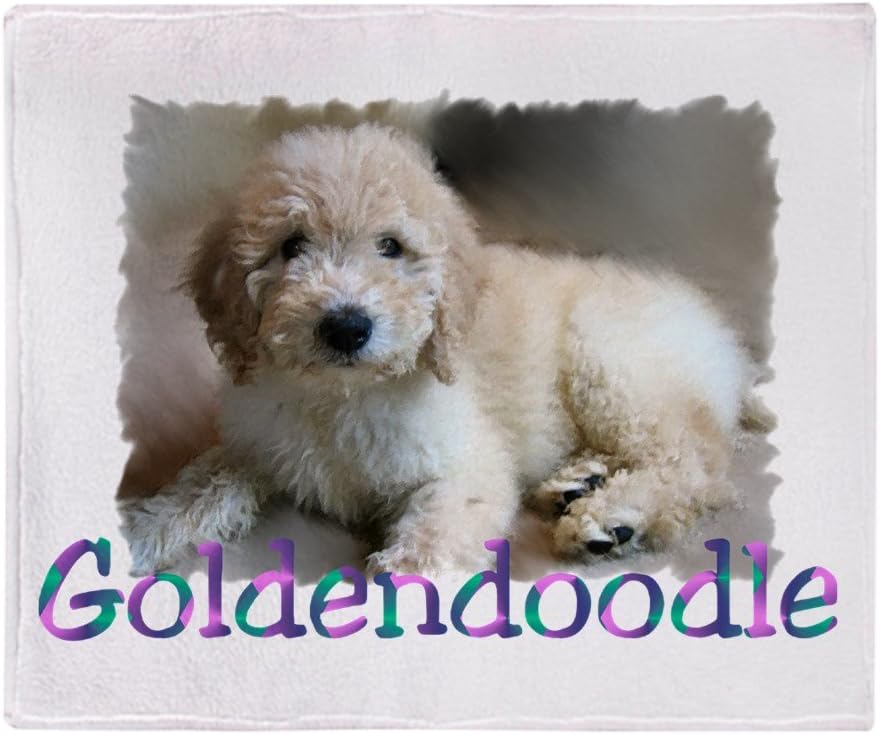 goldendoodle throwing up