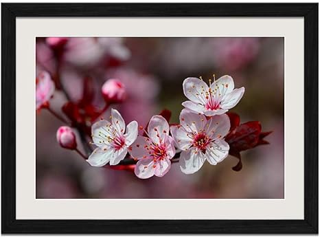 Amazon Co Jp 春の木の花 白い花びら 風景の写真 黒色の木製フレーム 額縁 壁掛け ホーム装飾画 装飾的な絵画 壁の装飾 ポスター 40x60cm ホーム キッチン