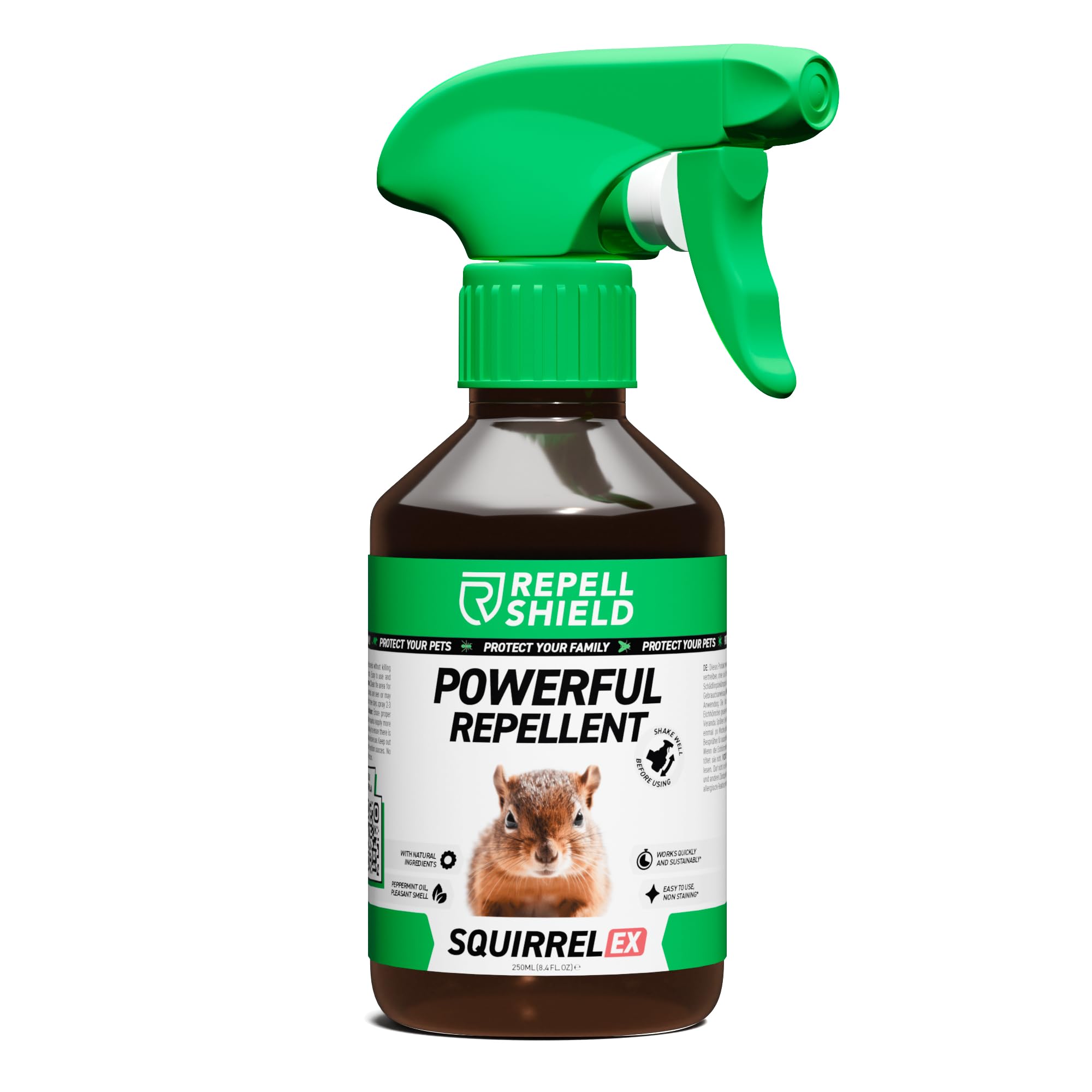 RepellShield Squirrel Repellent Spray - Natural Squirrel Deterrent for Gardens, Lofts & Bird Feeders, Humane Essential Oil Spray to Protect Outdoor Spaces, Lofts & Bird Feeders, Safe, Non-Toxic, 250ml