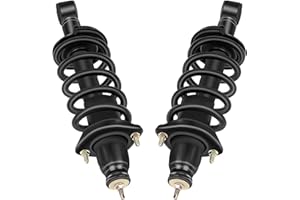 AUTOMUTO Strut Spring Assembly Rear Pair Strut & Coil Spring Assembly Fit 2002-2006 for Honda CR-V 171380L 171380R 4WD AWD
