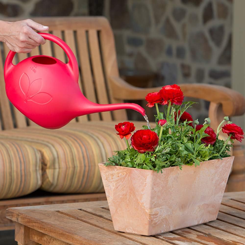 Novelty 30605 Indoor Watering Can, 1/2 Gallon, Red : Garden & Outdoor