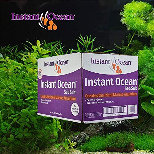 Instant Ocean Sea Salt For Marine Aquariums Nitrate Phosphate Free 200 Gallon Saltwater Fish Pet Supplies Amazon Com