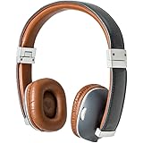 Polk Audio AM4220-A Hinge Wireless (Blue)