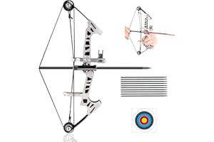 SQLWYLAT Mini Compound Bow and Arrow Set for Age 14+, Cool Gadget for Man & Women, Archery Hunting Bow for Target Shooting Hunting Games Relieve Pressure Birthday Festival
