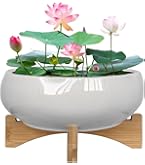 Macetas Hidropónicas De Plástico (Pack 3) - Para Lirios, Plantas Acuáticas, Bonsáis, Interior/Exterior