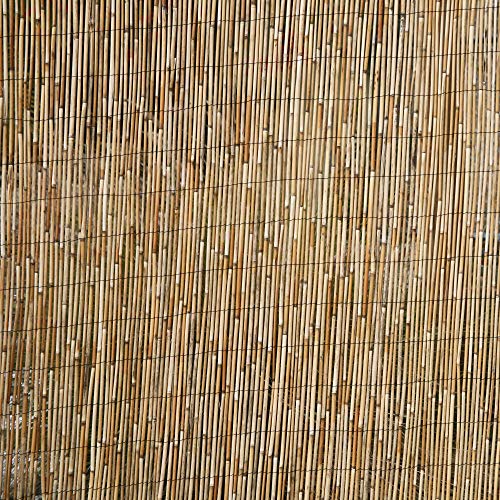 FOREVER BAMBOO Jumbo Reed Bamboo Screen Fencing Privacy Fence Backyard