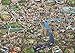 Jumbo Map of London Jigsaw Puzzle (1000 Piece)