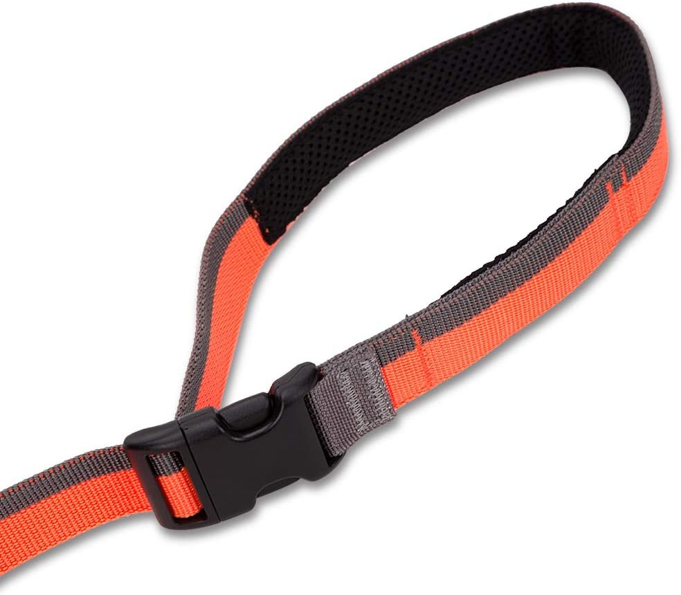 Truelove Bungee Dog Lead Hands Free Leash Adjustable Elastic Shock Absorbing Long Cord TLL2271(L, Orange) - Image 3