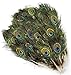 KAYSO Peacock Mini Tails Feathers, 25 Piece