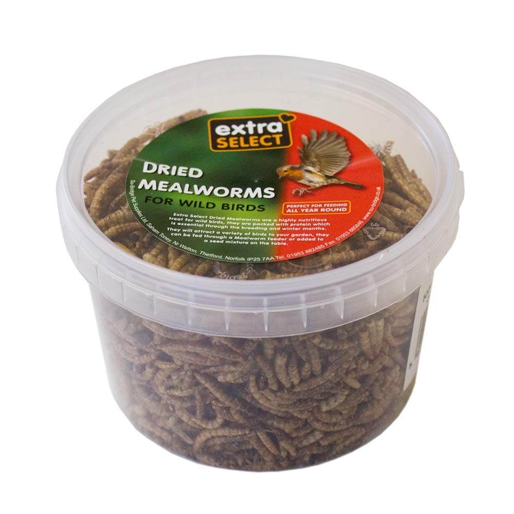 Extra Select Dried Mealworms for Wild Birds: Protein Rich Wild Bird Food for Robins and Wildlife - Meal Worms for Garden Birds - 500 ml
