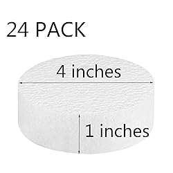 4 Inch 24-Pack Foam Circles for Crafts