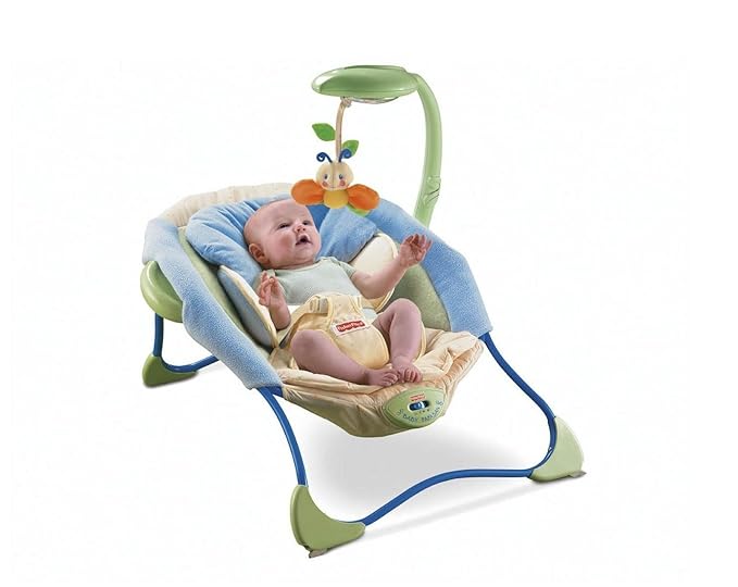 fisher price baby papasan infant seat