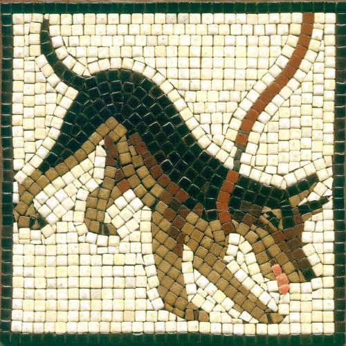 DIY Mosaic Art Kit 5.9'' Square, 15x15cm, Dog, Small