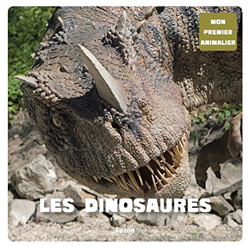 Les dinosaures by Aude Sarrazin