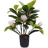 LIVN GREEN 16" Artificial Magnolia Stems in a Pot, Artificial Magnolia Branches with 5 White Flowers, Small aritificial for Home or Office Decor, Faux Flowers