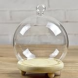 Siyaglass Clear Glass Cloche Globe Display Dome