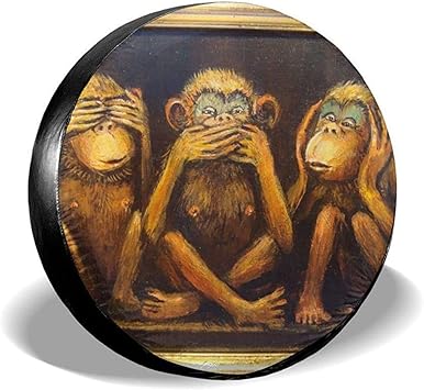 Immagini Divertenti Di Scimmie Scuolissima Com