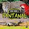 Livro Biomas do Brasil - Tudo sobre O Pantanal