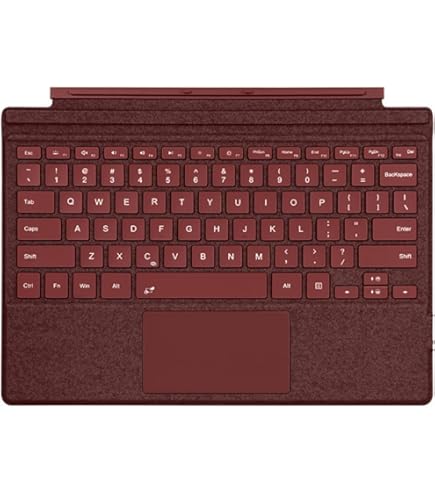 Amazon.com: Microsoft Surface Go Signature Type Cover (Platinum